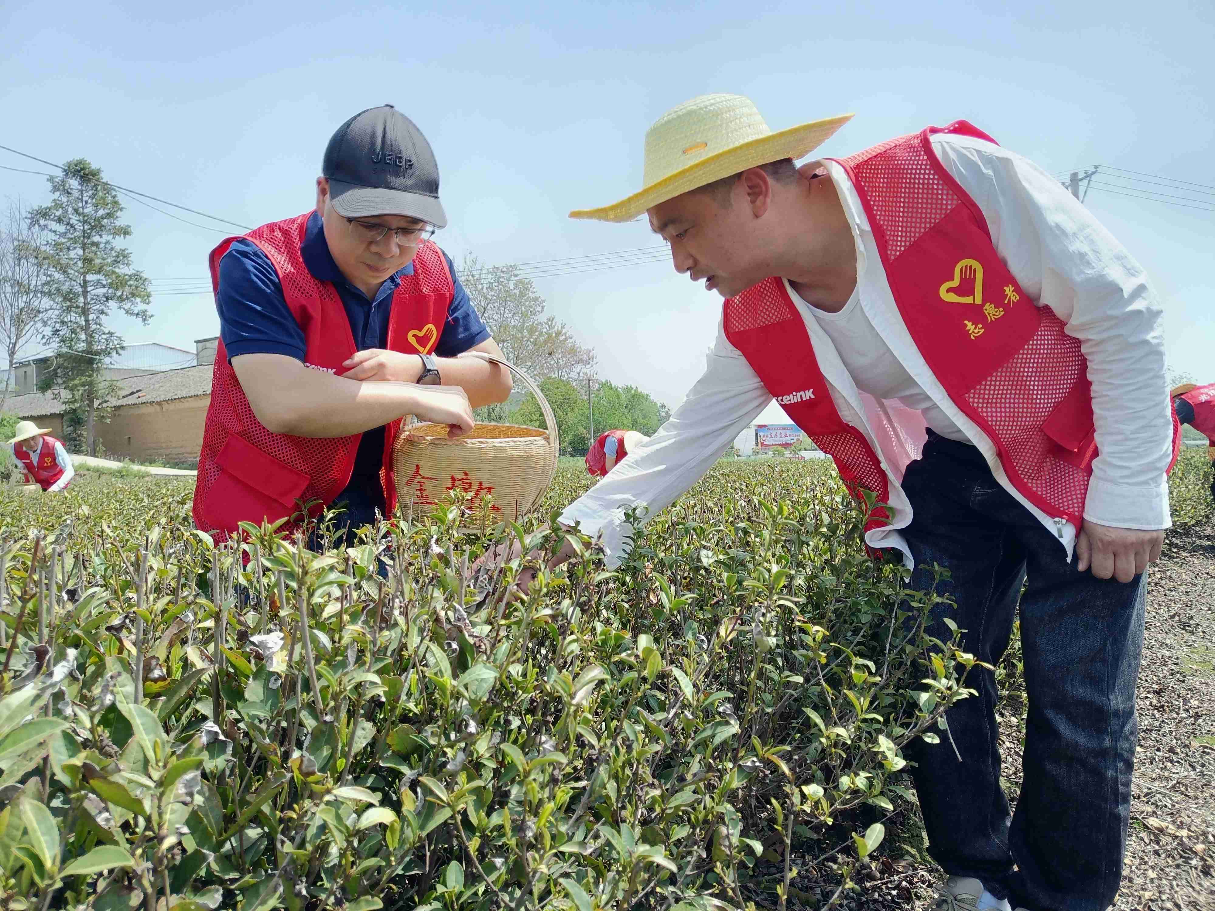 9888拉斯维加斯(股份)有限公司-官方网站